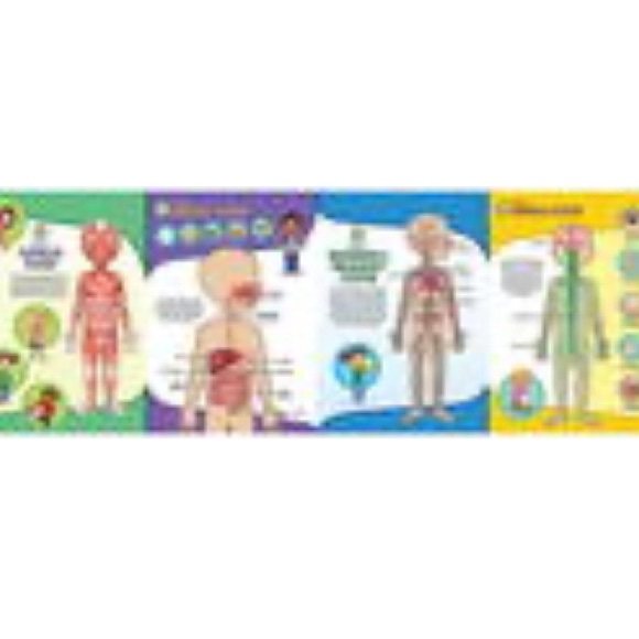 LeapFrog Tag Interactive Human Body
Discovery Pack Board - Picture 5 of 12